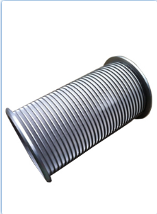 SS Wedge filter Cartridges